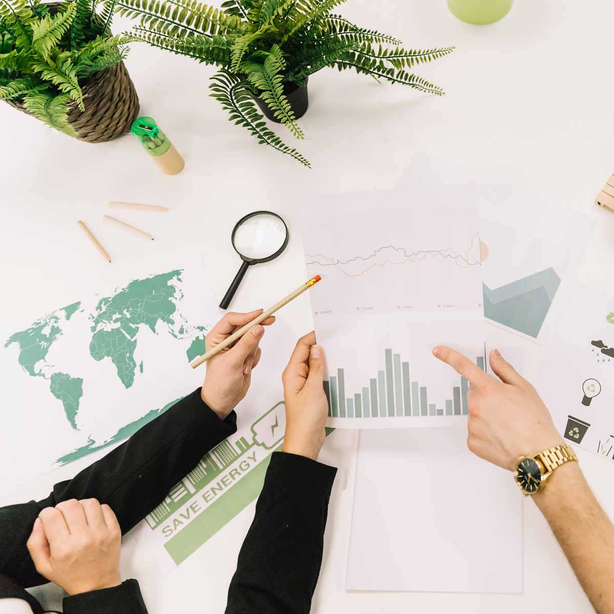 Local SEO Services for Small Business: Boost Your Visibility & Revenue